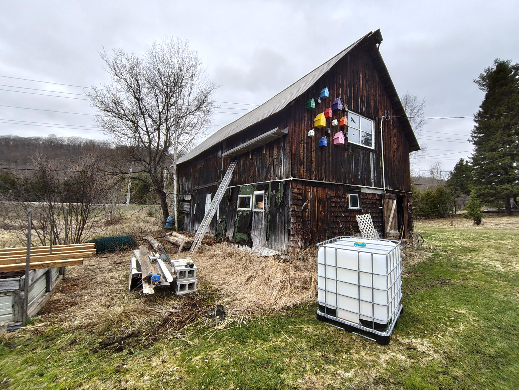 Rain Water Harvesting